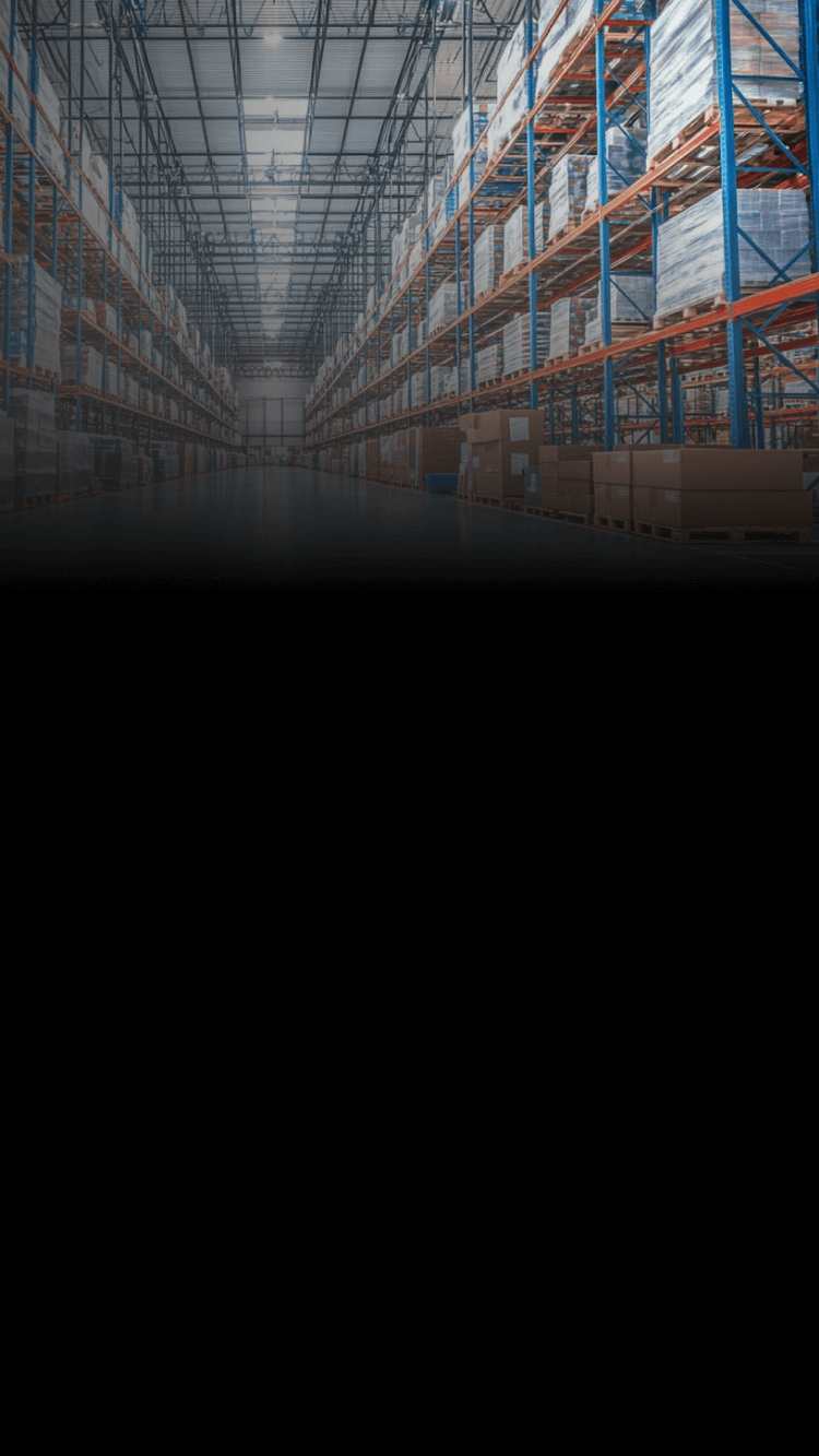 Curso Administración de Bodegas e Inventarios