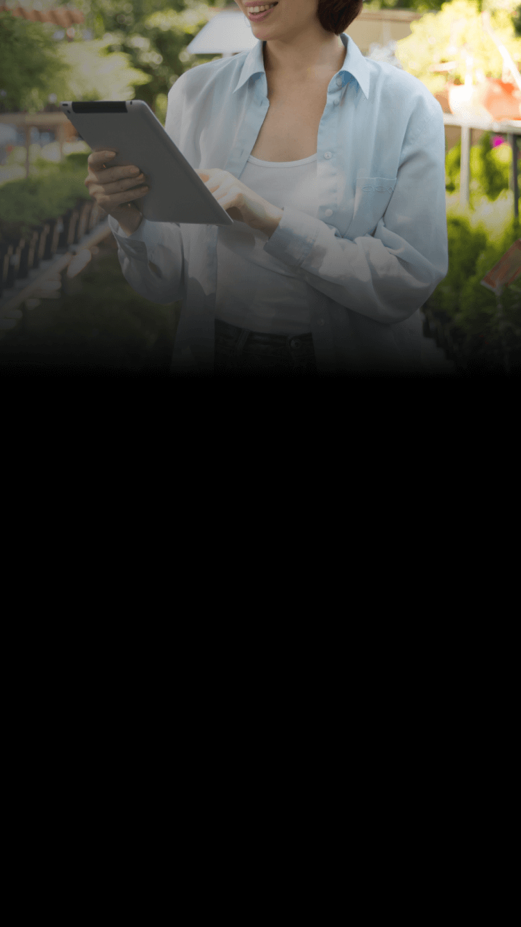 Curso Estrategias de Implementación de la Economía Circular