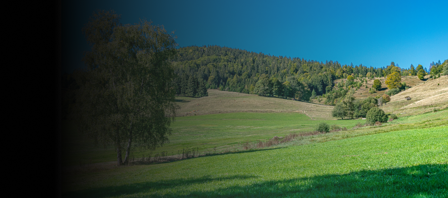 Diplomado en Gestión Ambiental