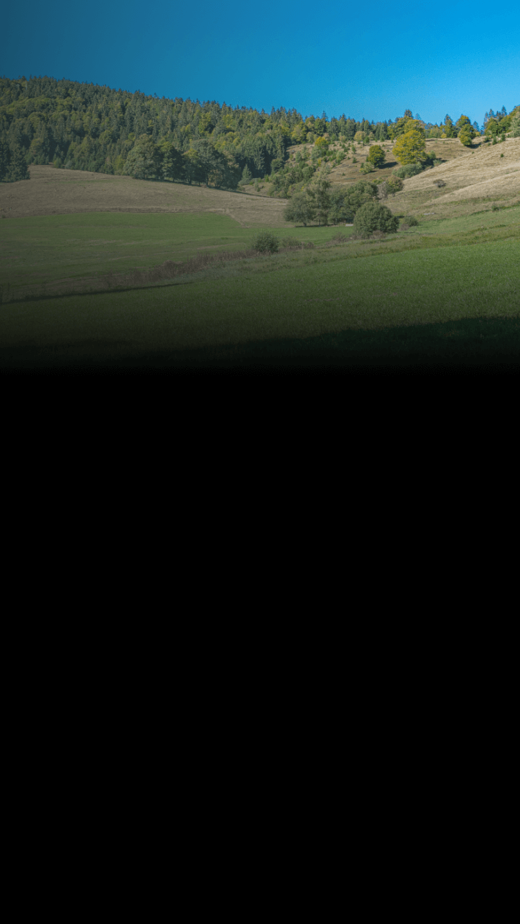 Curso Legislación Ambiental en Proyectos de Inversión