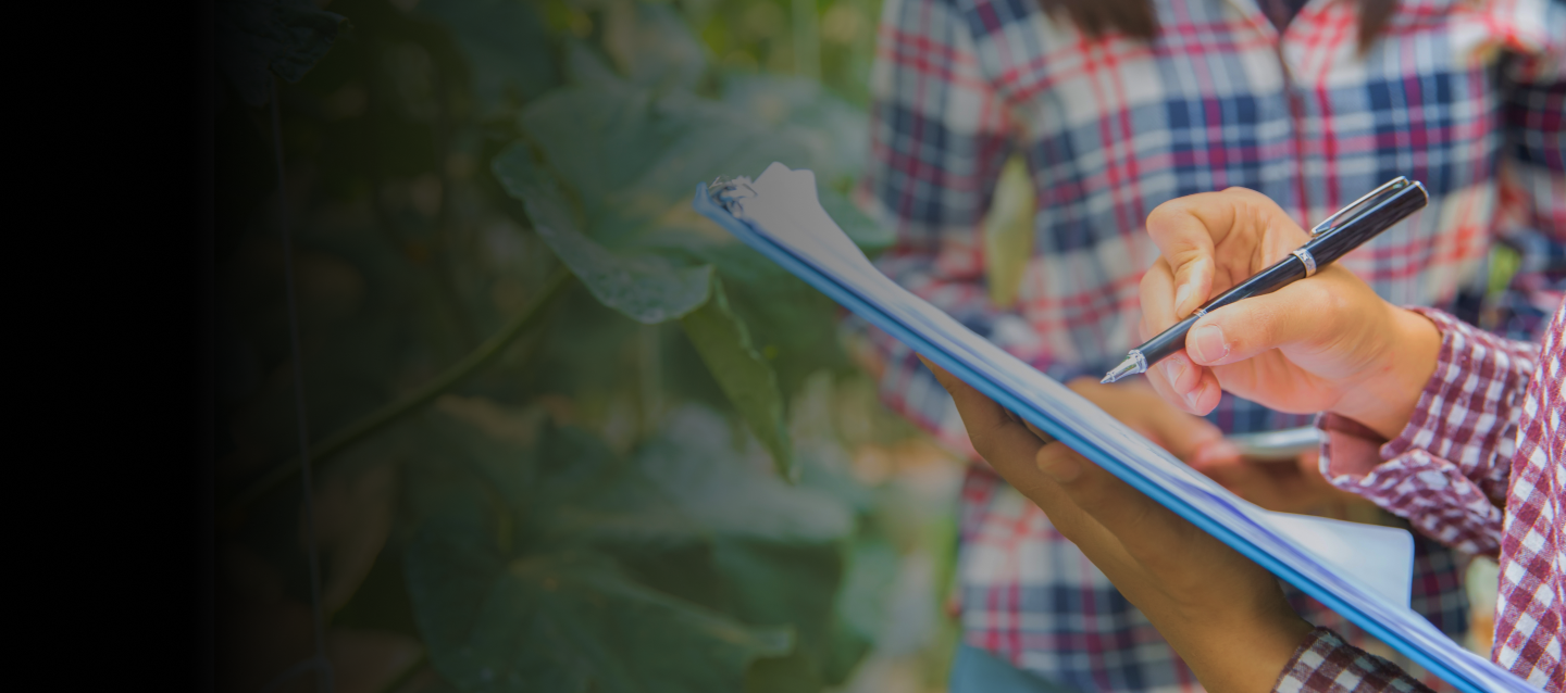 Curso Estrategias de Evaluación de Proyectos En el Seia