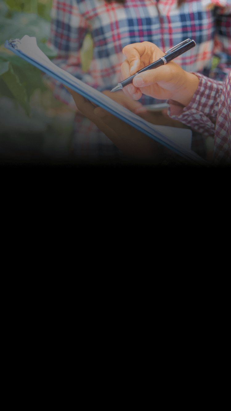 Curso Estrategias de Evaluación de Proyectos En el Seia