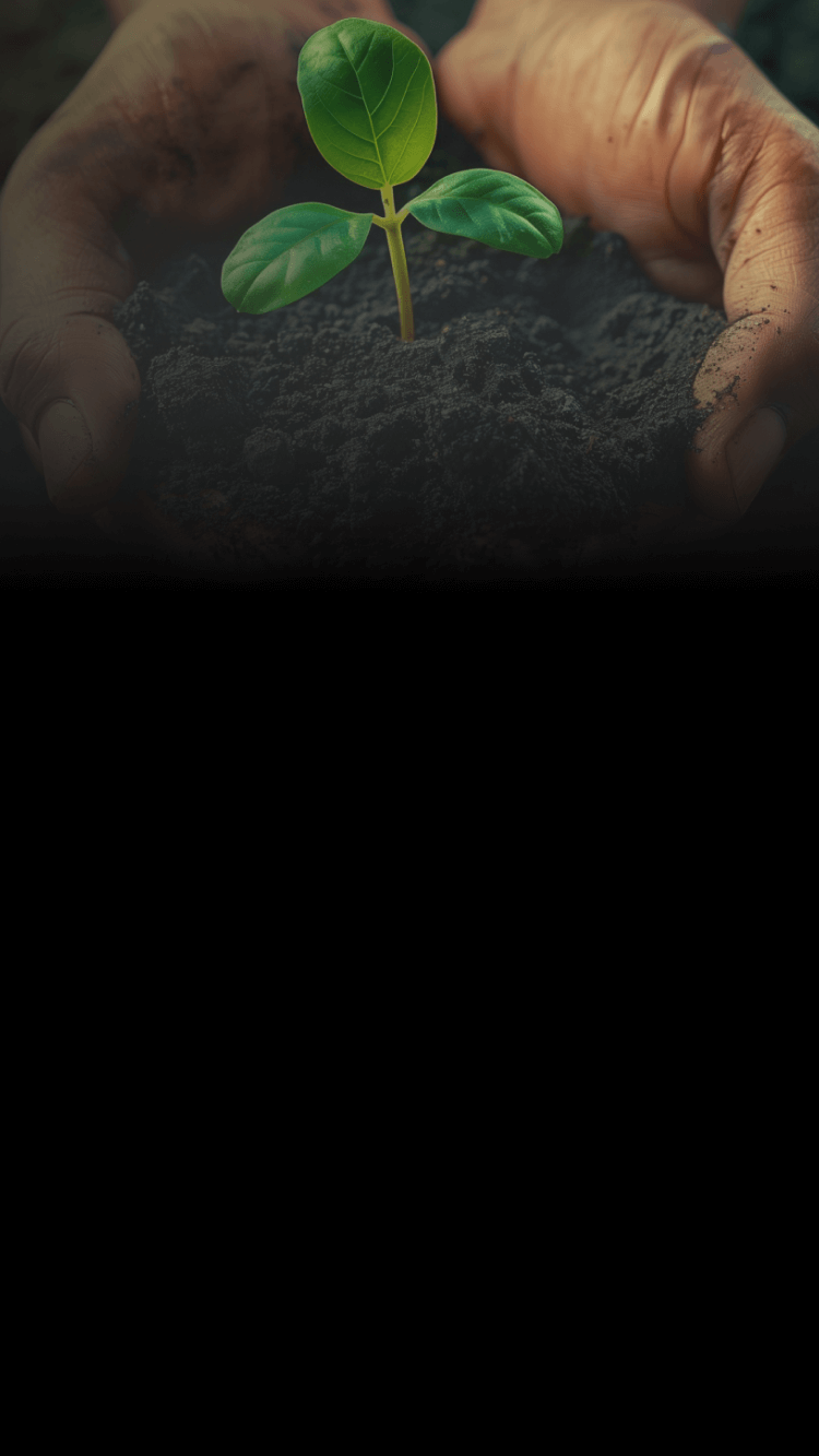 Cursos Técnicas para la Medición de la Huella de Carbono