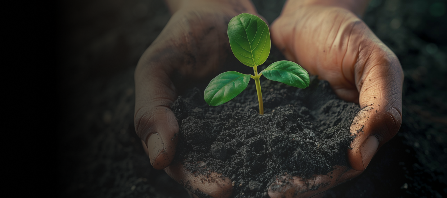 Cursos Técnicas para la Medición de la Huella de Carbono